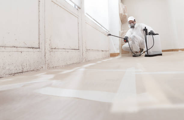 24/7 Emergency Basement Mold Remediation experts in Dresher, PA