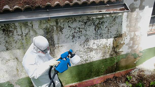 Top rated local Basement Mold Remediation specialists in Dresher, PA